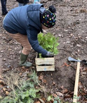 Retour sur la plantation d'arbres