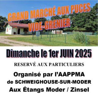 Grand Marché aux Puces - Vide-Grenier