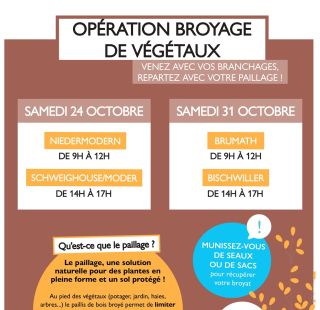 Opération broyage de végétaux