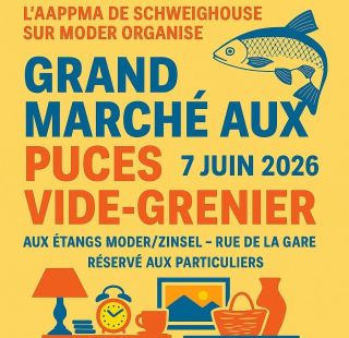 Grand Marché aux Puces Vide-grenier