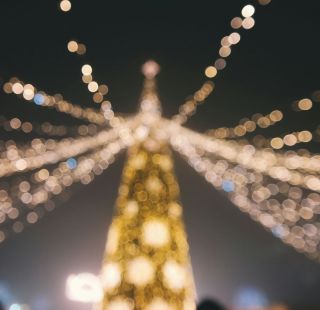 Lancement Illuminations - Les jardins de lumière