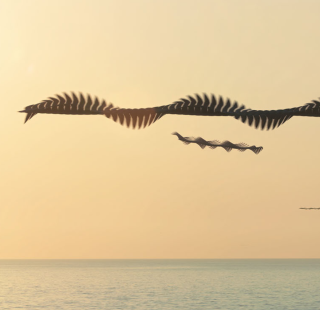 Visite guidée Exposition Bestiaires contemporains 