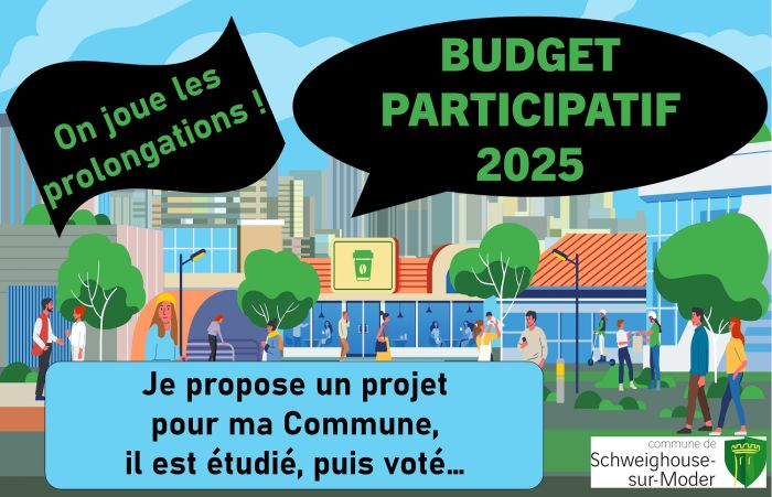 Affiche budget participatif dépôt projets prolongations PF
